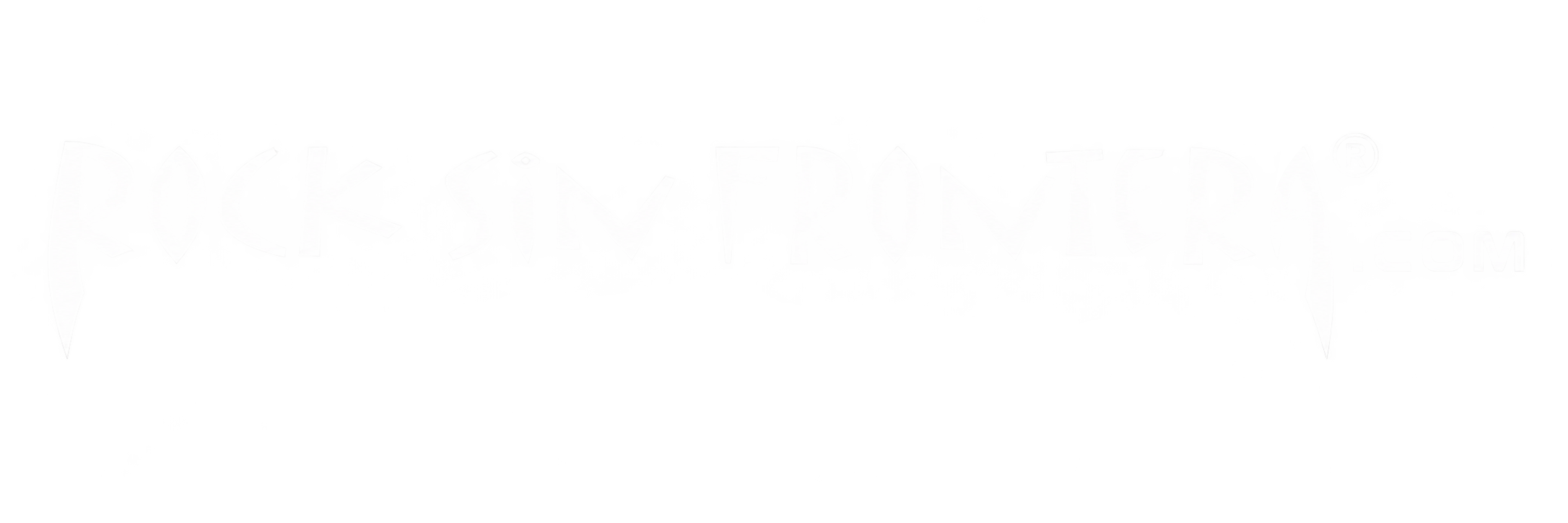ROCK SIN FRONTERA .COM